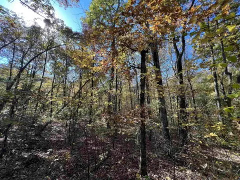 Holley Mountain Airpark Residential Lot