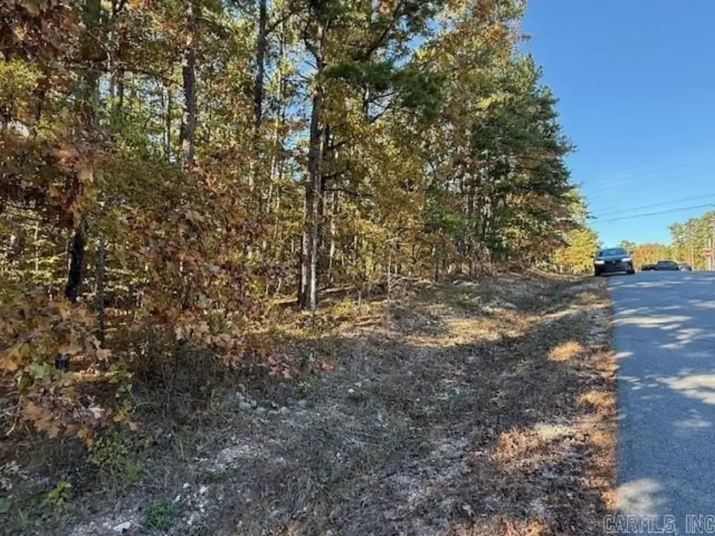 Picture 9