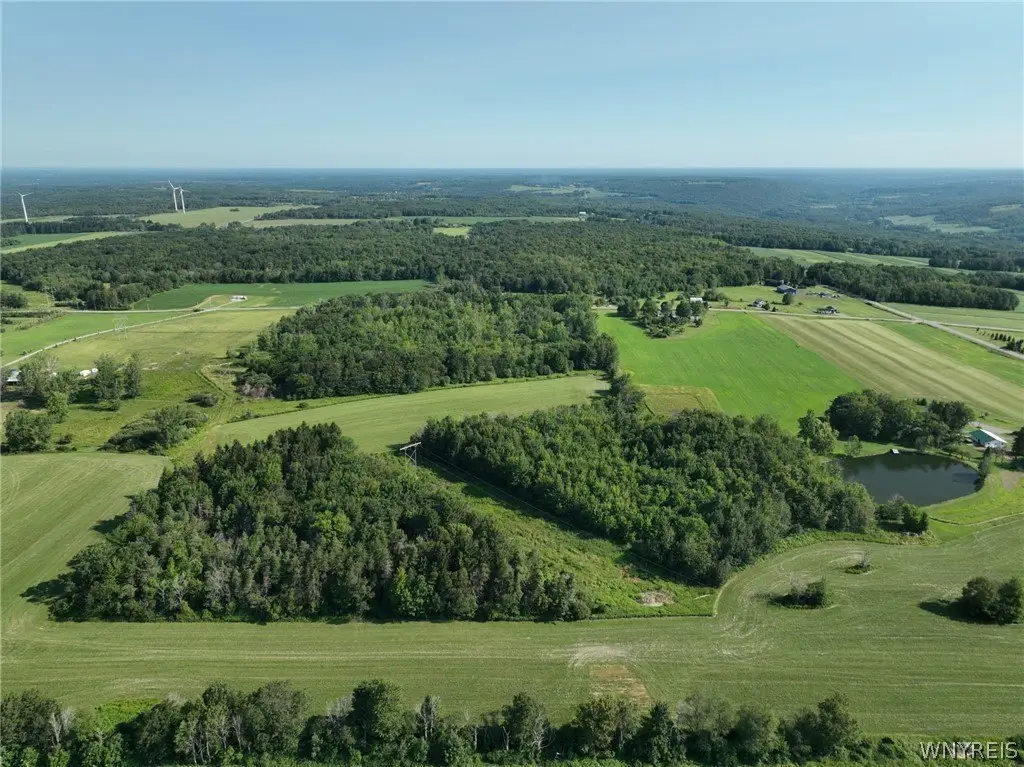 Picture 13