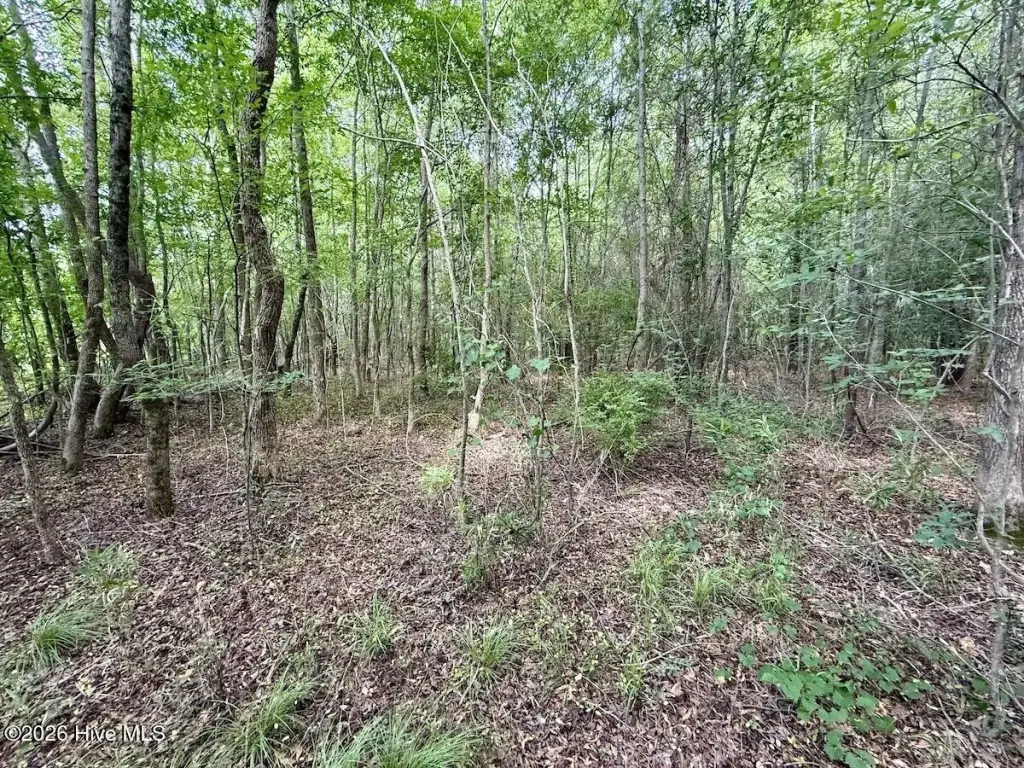 Picture 24