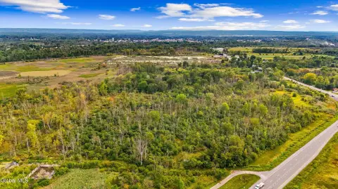 Wooded Land Parcel
