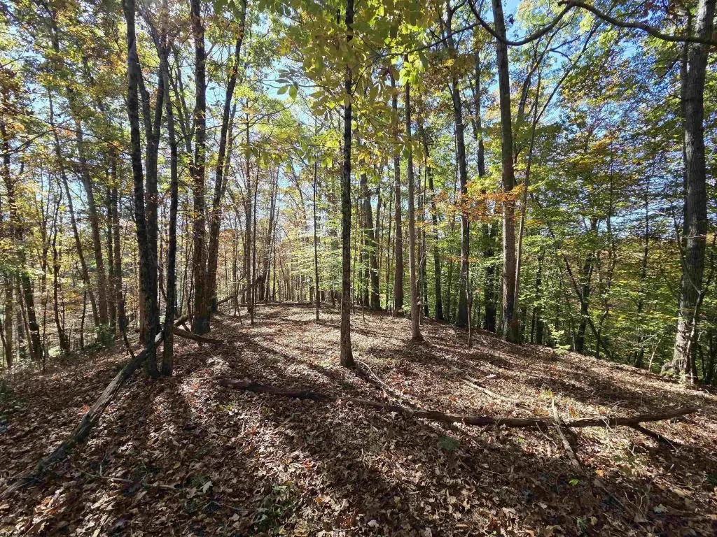 Picture 25