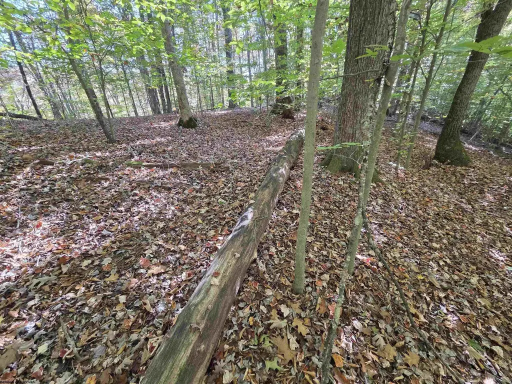 Picture 30