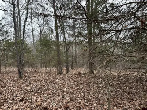 20 Acres Land in Yellville