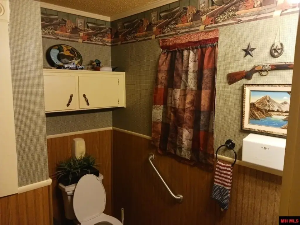 Picture 33
