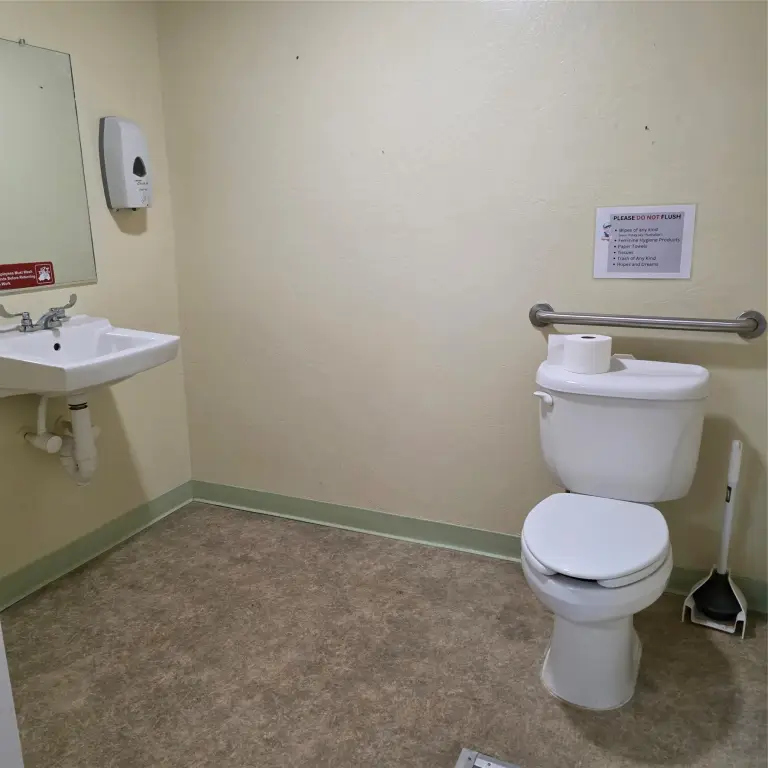 Picture 8