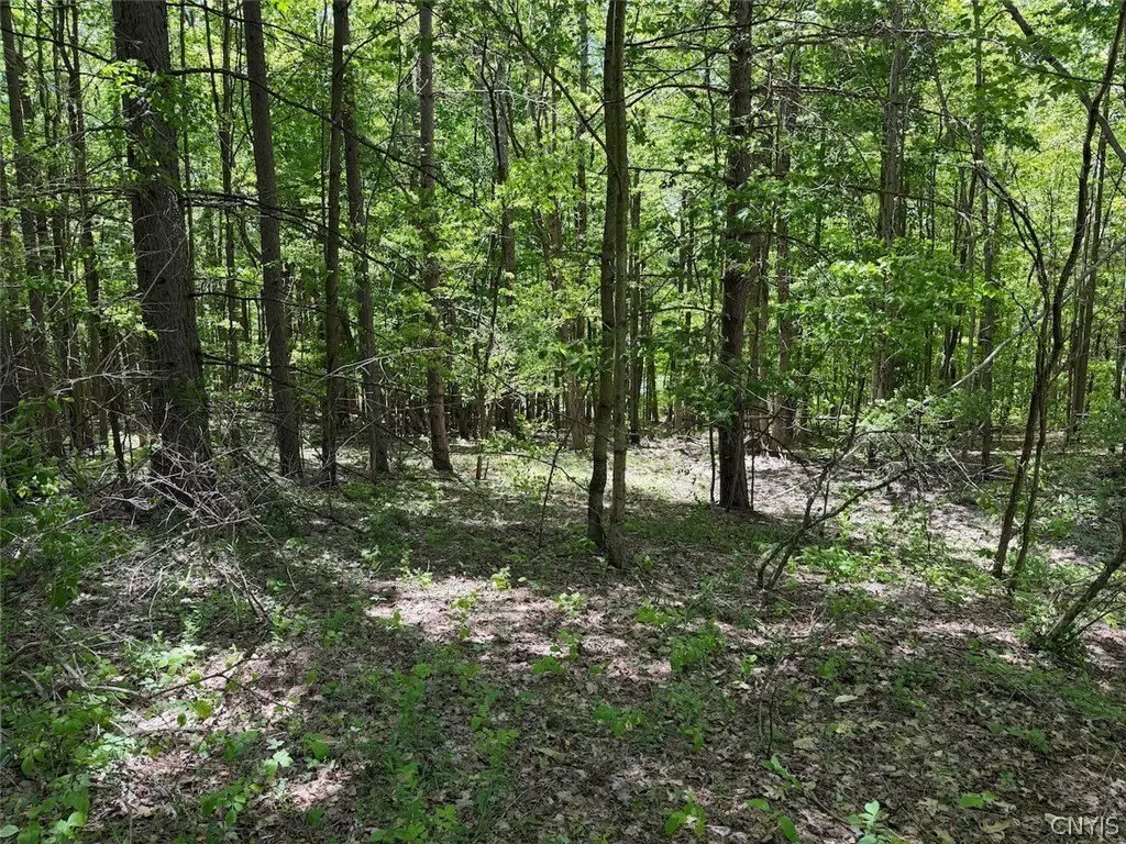 Picture 17