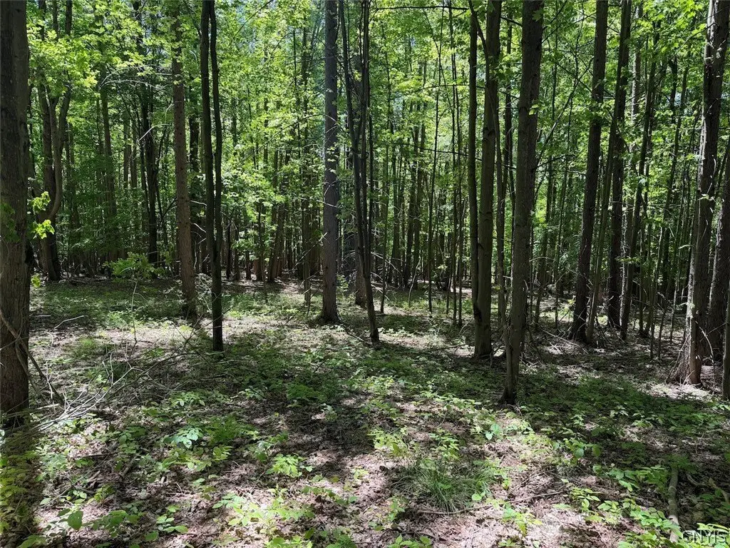 Picture 18