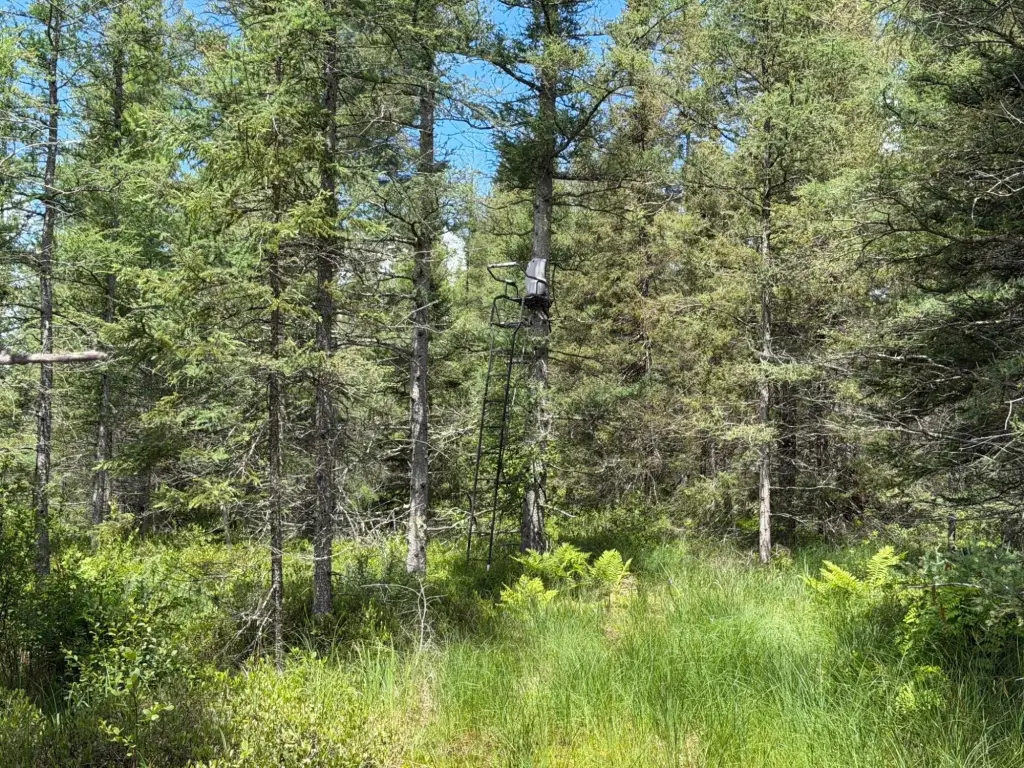 Picture 28