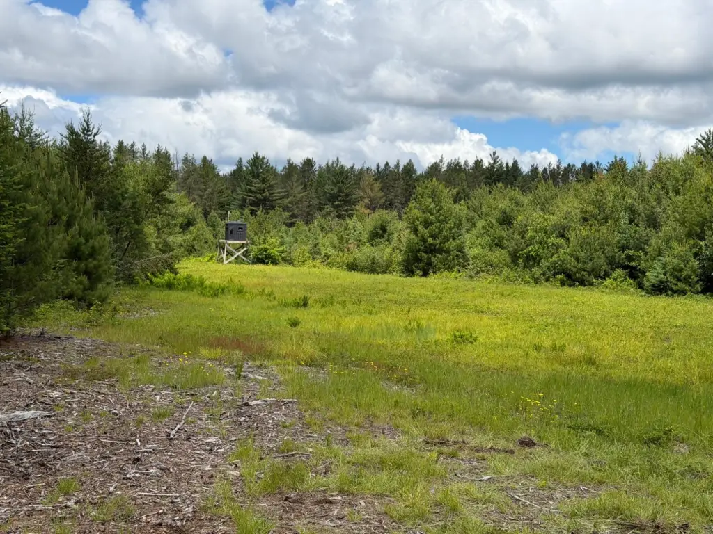 Picture 23