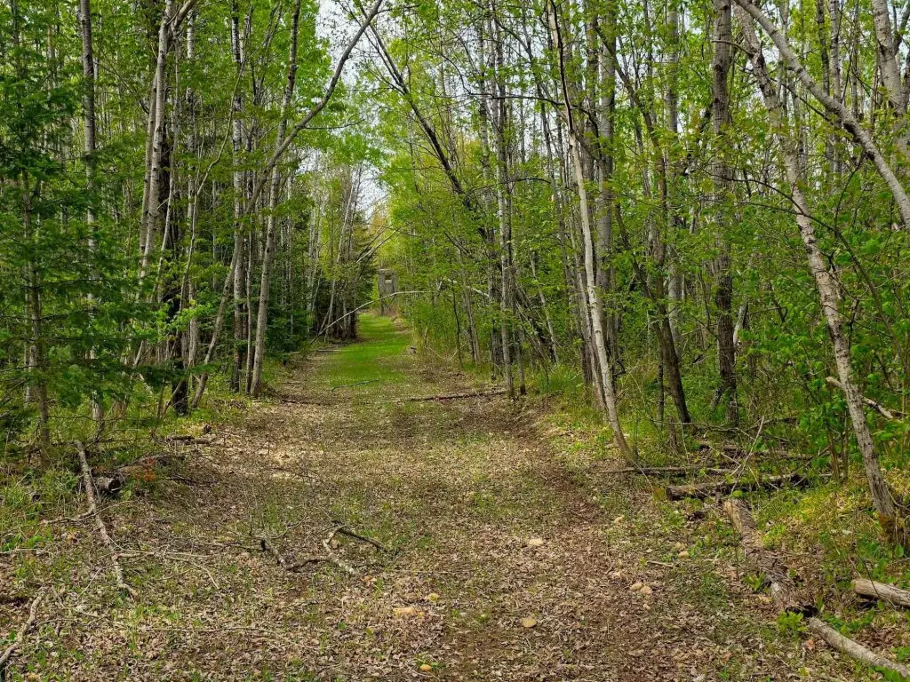 Picture 36