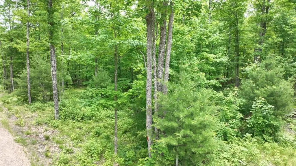 Picture 10