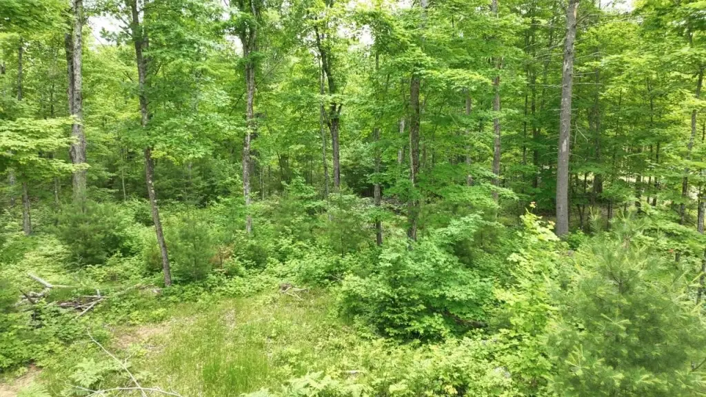 Picture 8