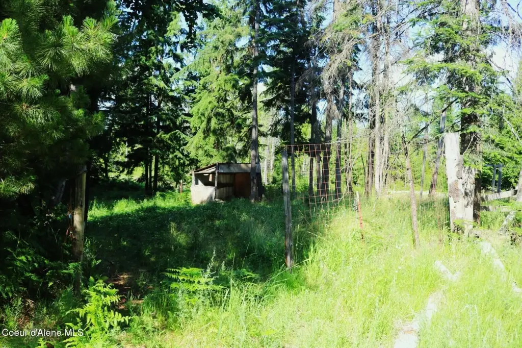 Picture 7