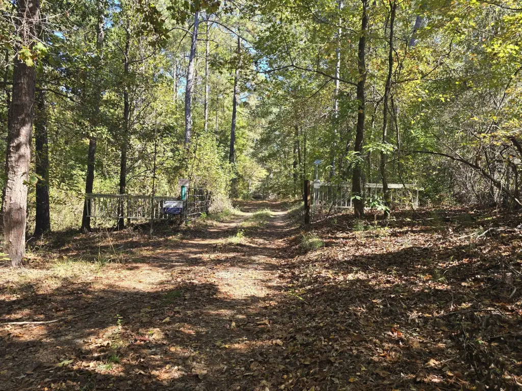 Picture 47