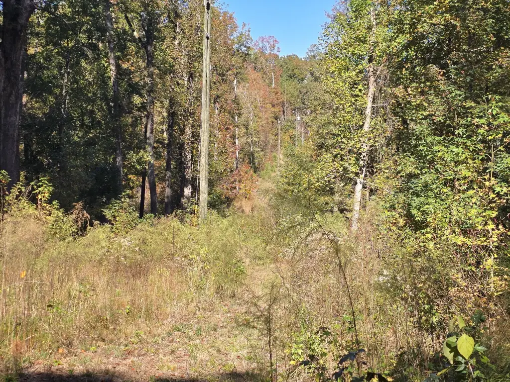 Picture 43