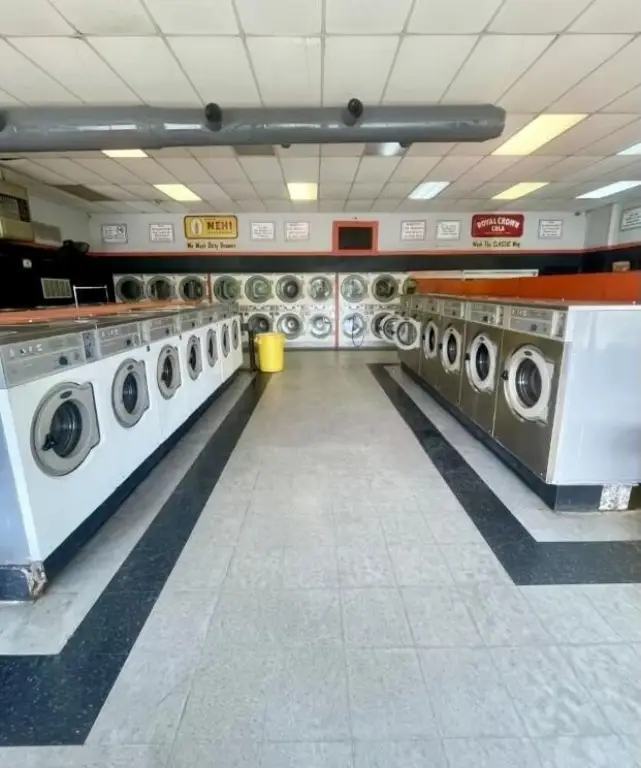 Picture 5