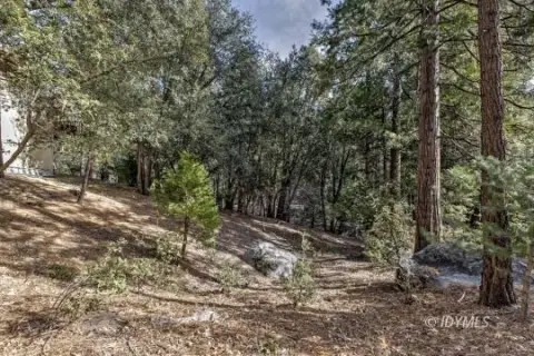 Vacant Land in Idyllwild, CA