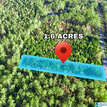 Unrestricted Land Near Lake Wedowee