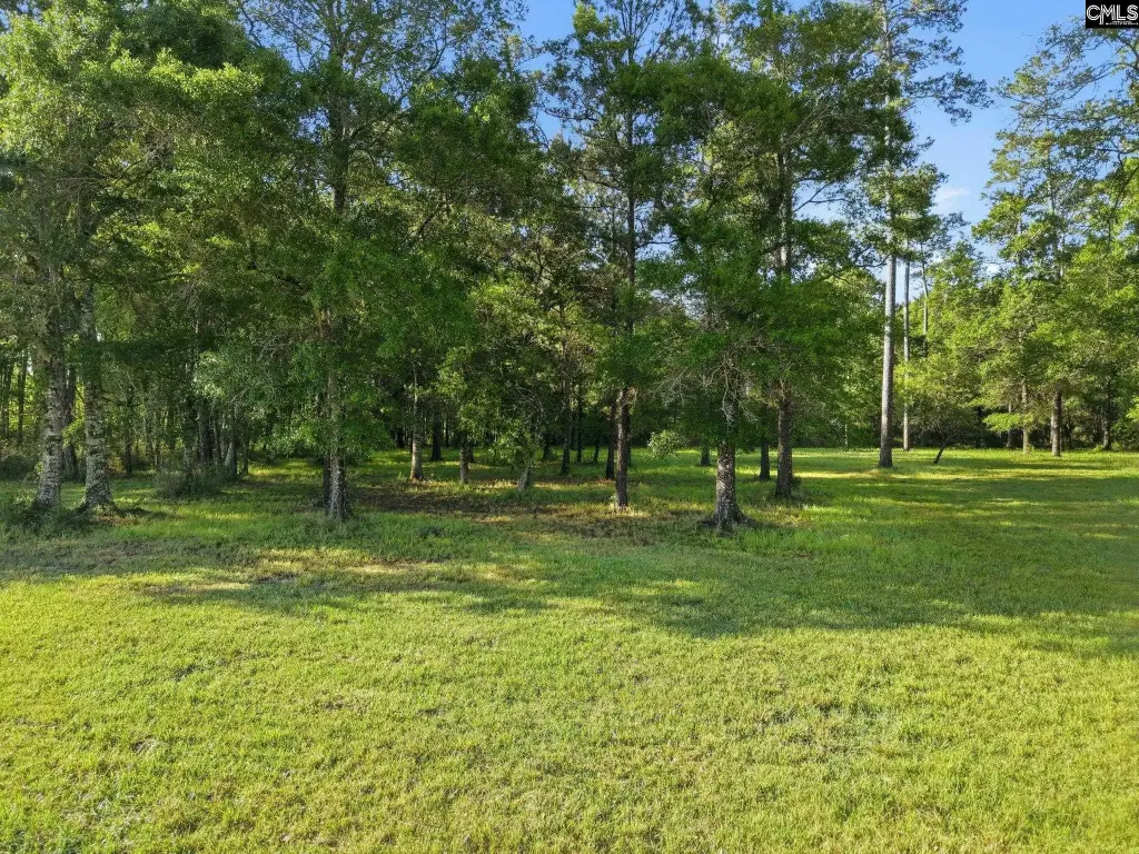Picture 25