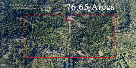 Oregon Forest Land Near Beach