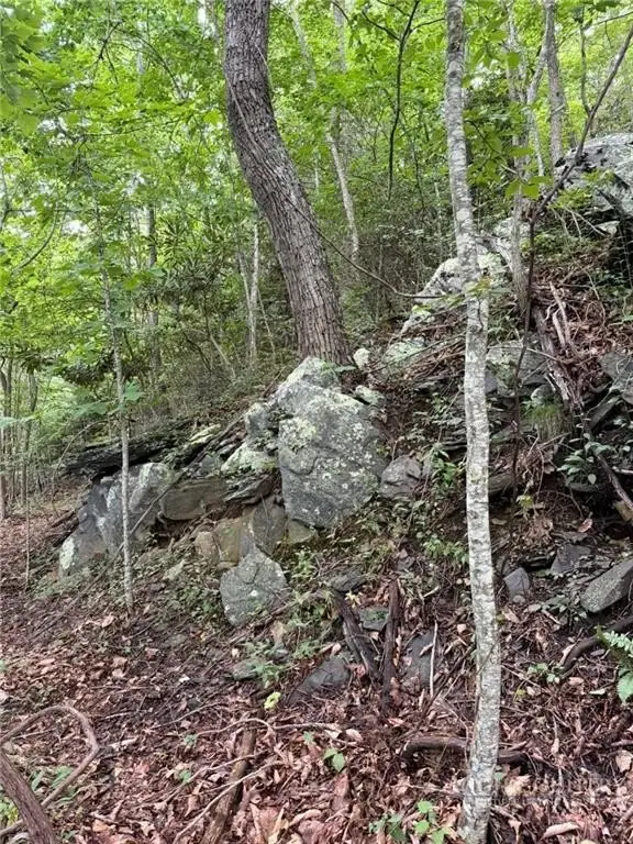 Picture 25