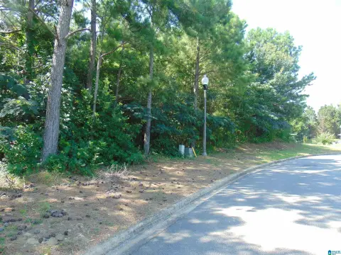 Land in Birmingham, Alabama