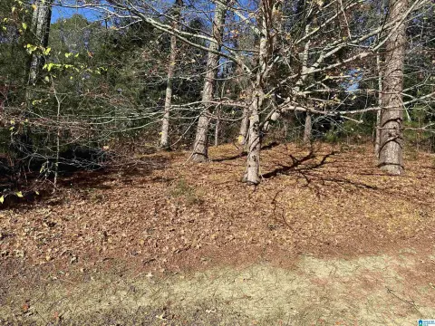 Residential Lot in Jacksonville, AL