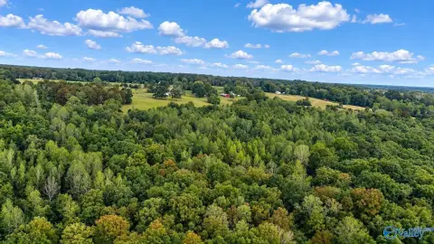 Wooded Recreational Land