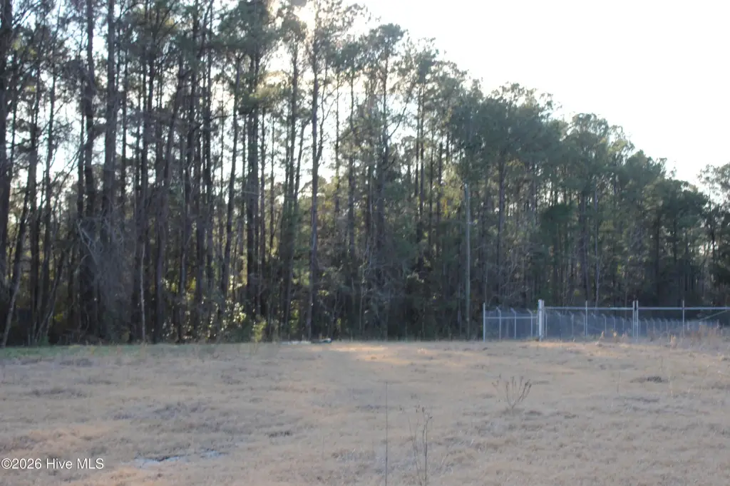 Picture 4