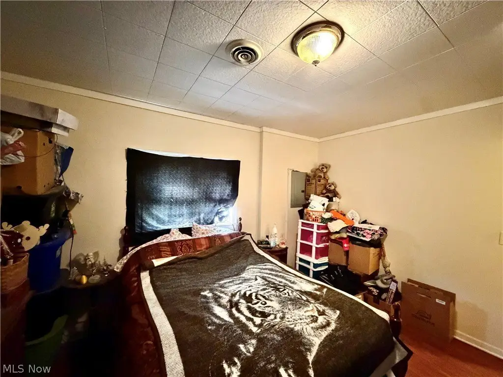 Picture 24