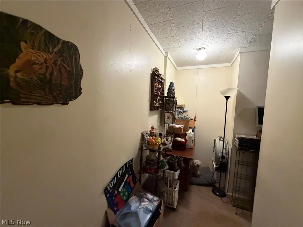 Picture 28