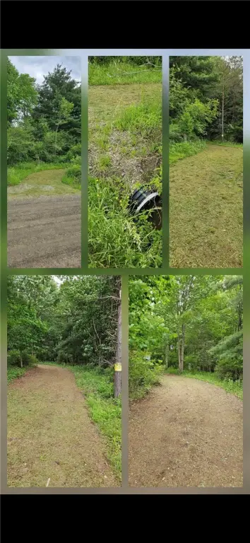 Picture 18