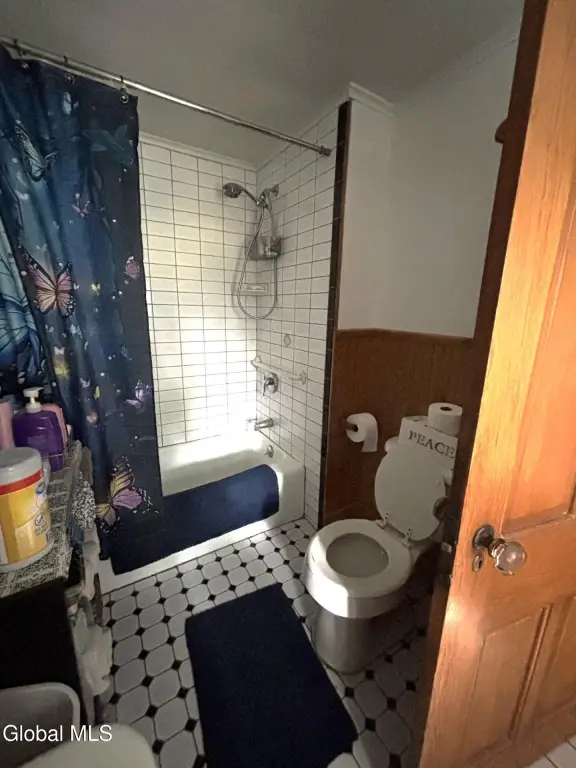 Picture 12