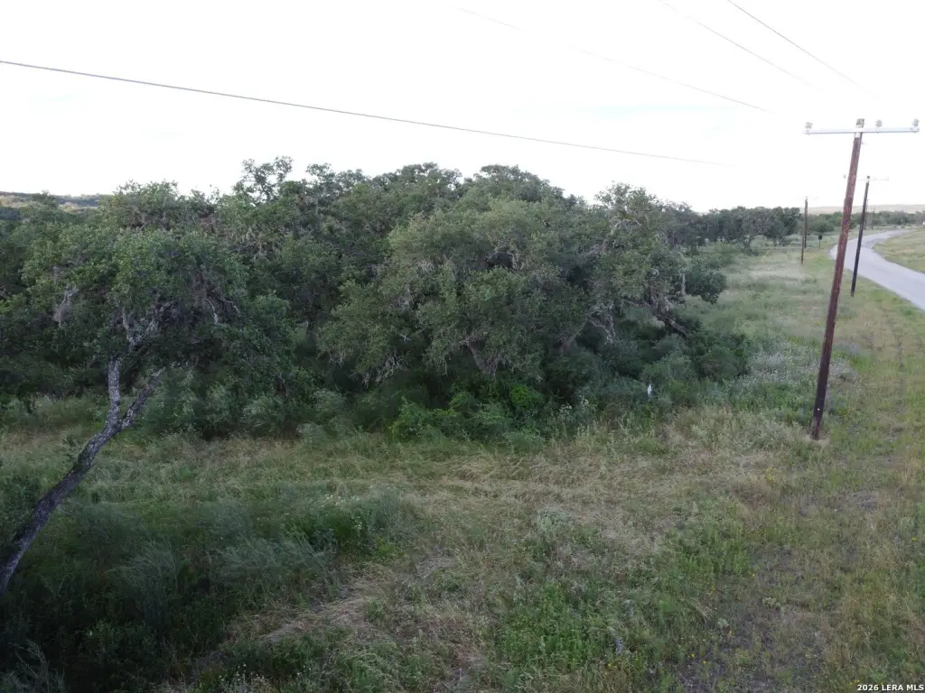 Picture 10