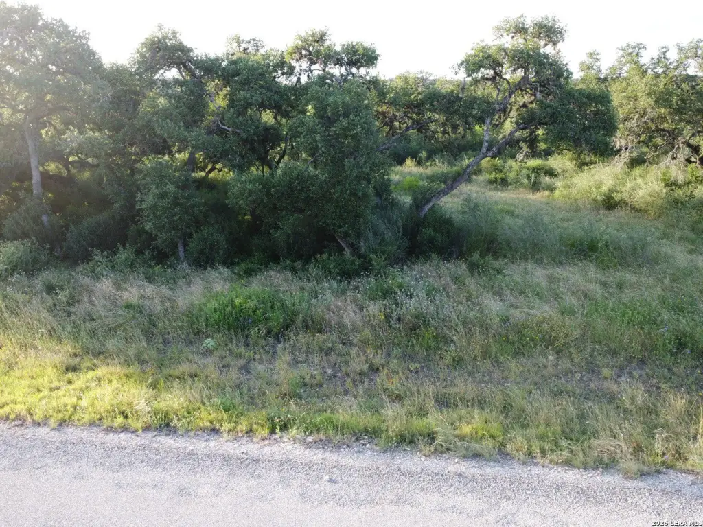 Picture 20