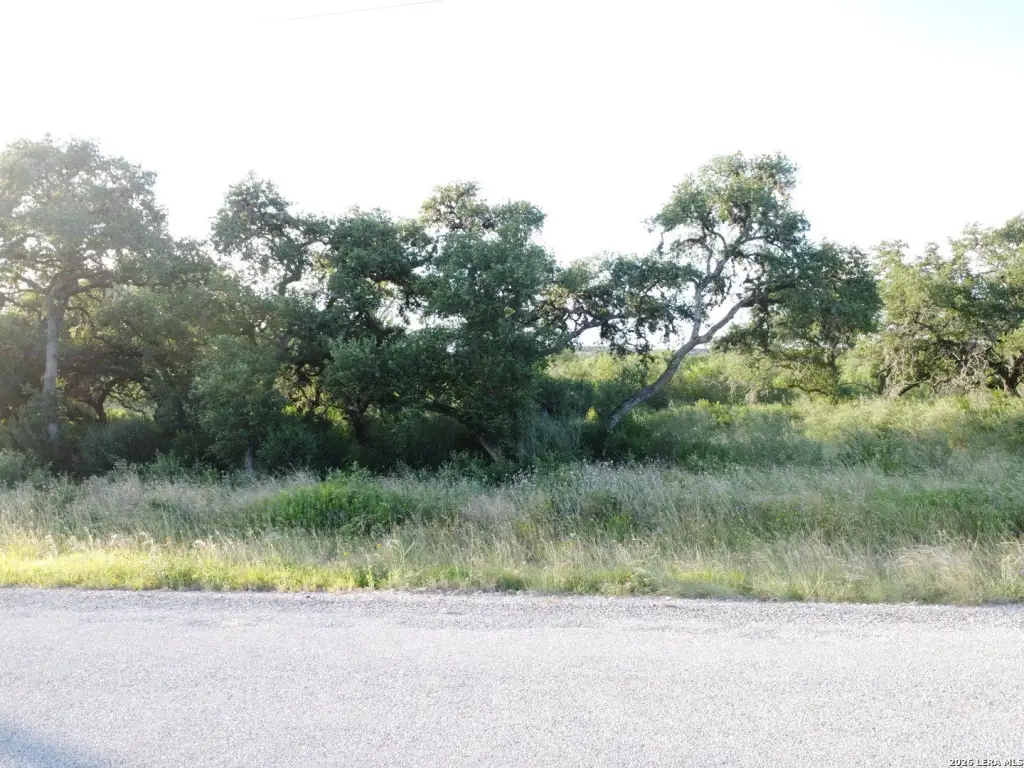 Picture 21
