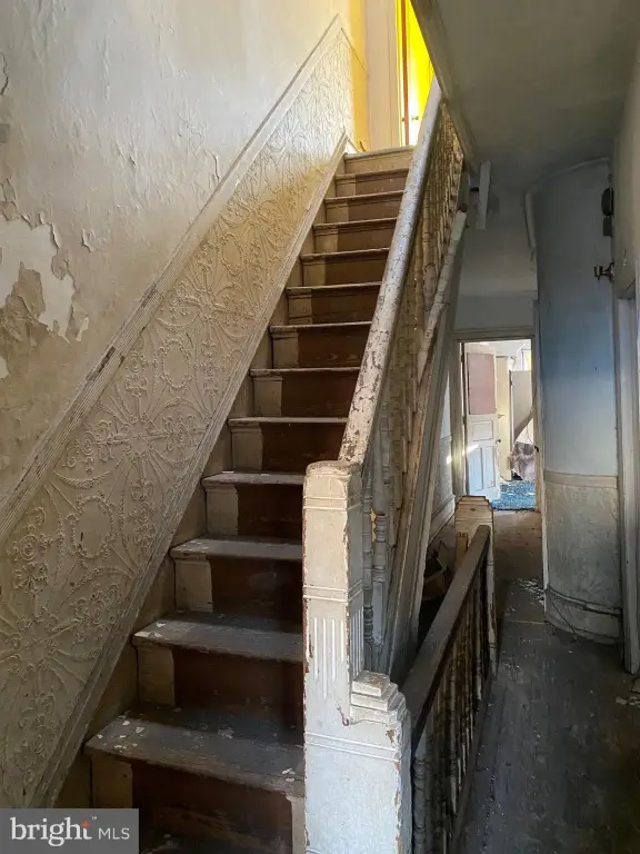 Picture 11