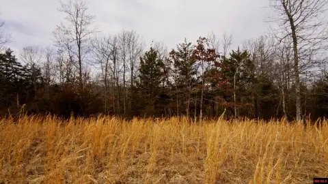 Gepp, AR Acreage Near Lake