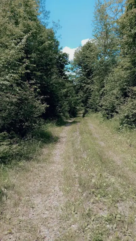 Picture 12