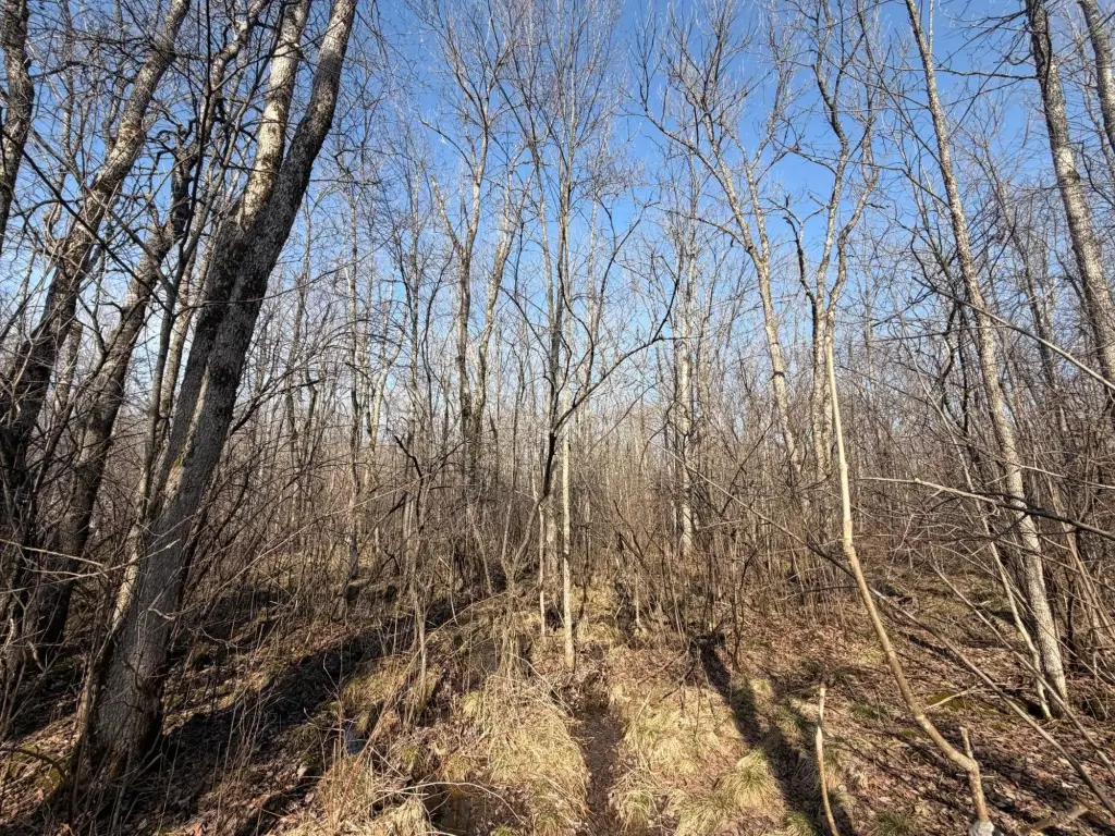 Picture 9