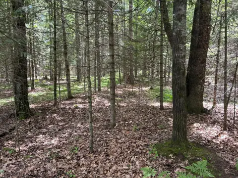 Corner-Frontage Development Land Parcel