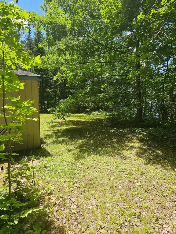 Picture 17