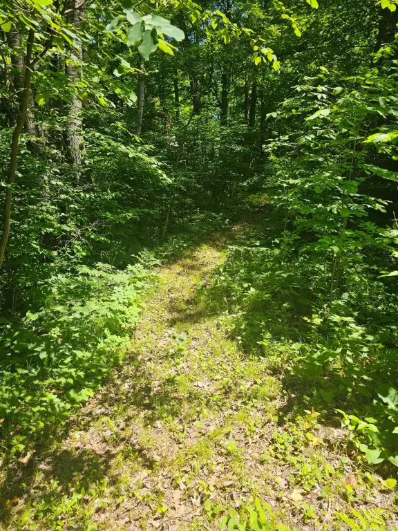 Picture 4