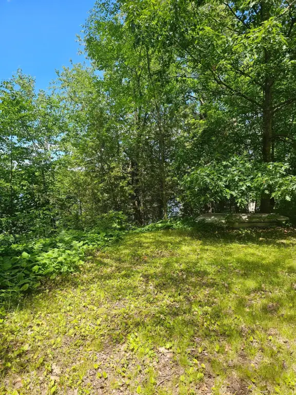Picture 19