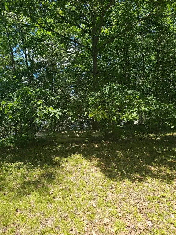 Picture 3