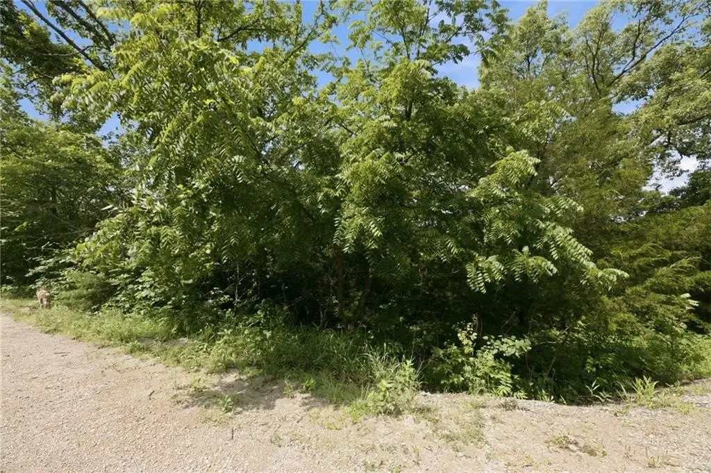 Picture 22