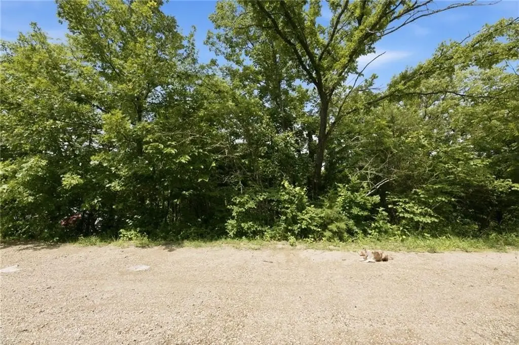 Picture 24