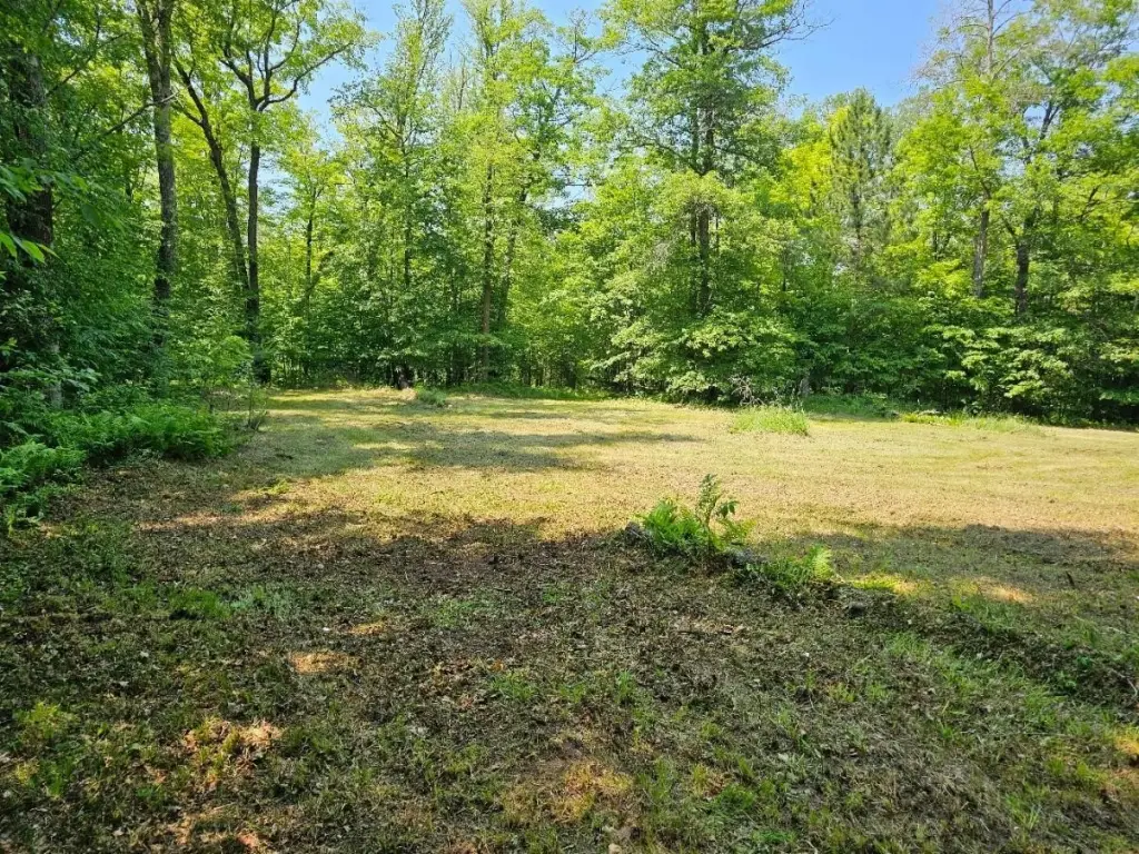 Picture 5