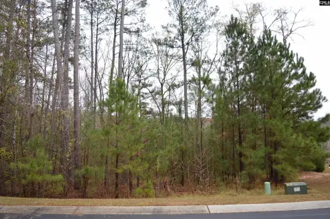 Waterfront Lot in Camden, SC